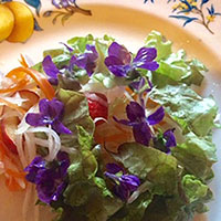 髙木礼子　Violet　salad